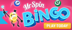 Mr spin